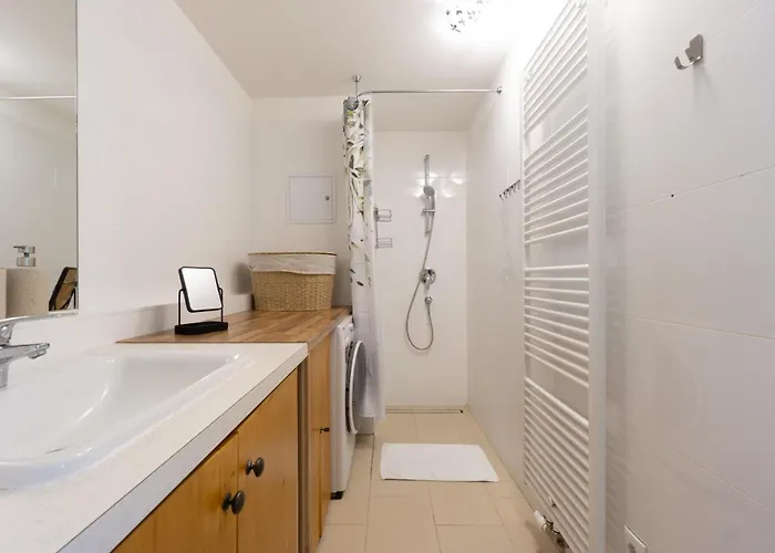 With Garden Close To Stadthalle, Westbahnhof * Βιέννη
